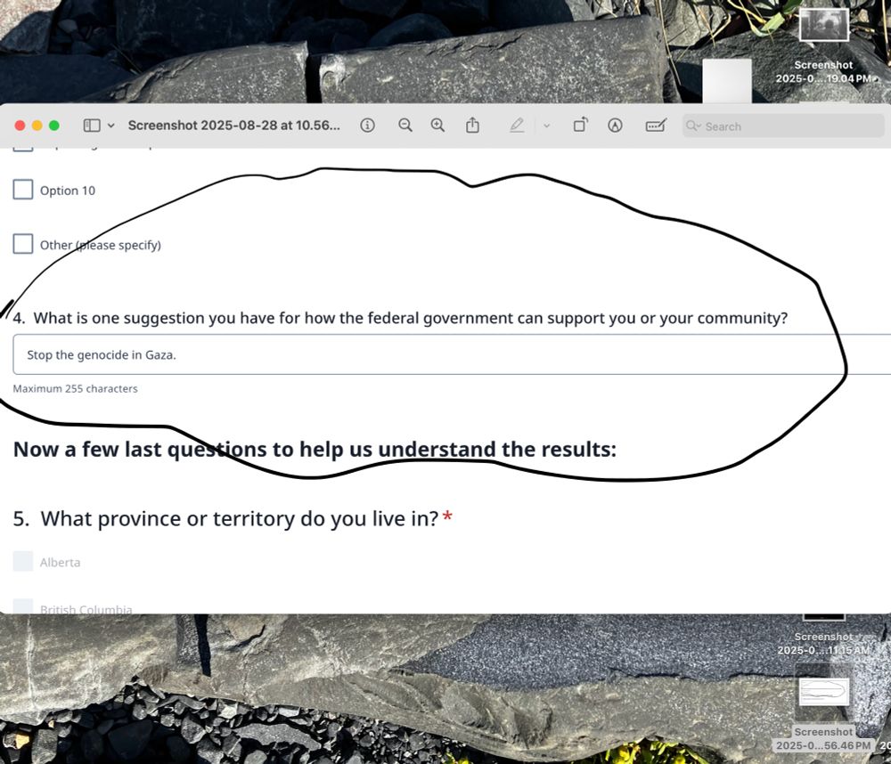 Screen shot of Leo's answer to government questionaire. Q: What is one suggestion you have for how the federal government can support you or your community? A: Stop the genocide in Gaza.