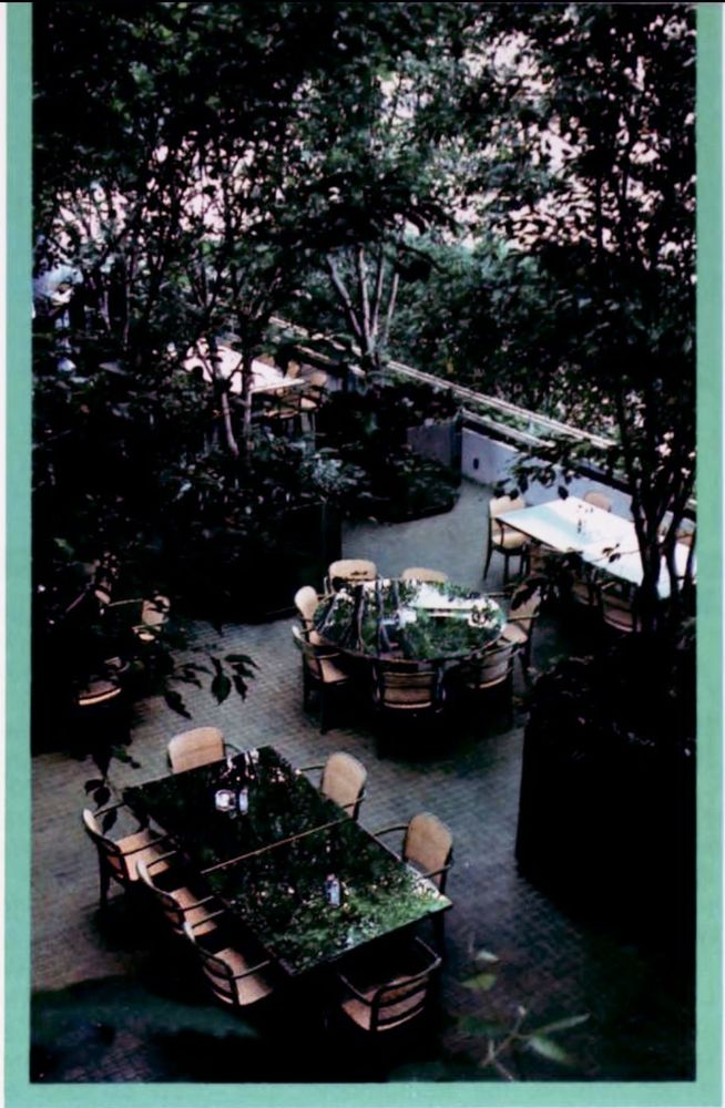 A relaxing atrium in 1986 with large trees, 4 sets of table and chairs to dine with your friends. You could sit there and eat and maybe read a book. No one would call or text you. You wouldn't know "the news" until you possibly watched it on TV that evening, or read the newspaper the following morning.