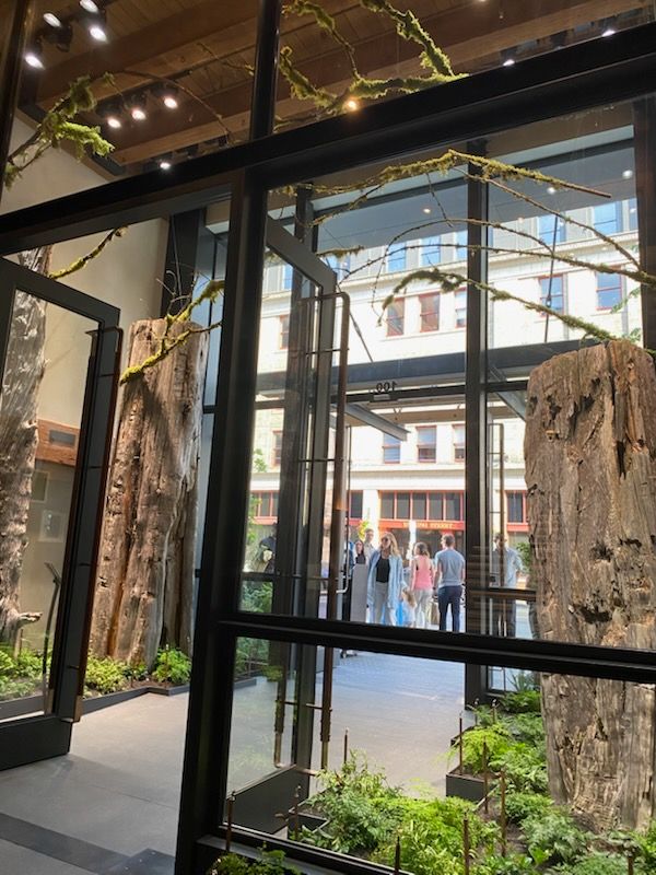 Main entrance of Populus Seattle hotel featuring elements of PNW rainforests.