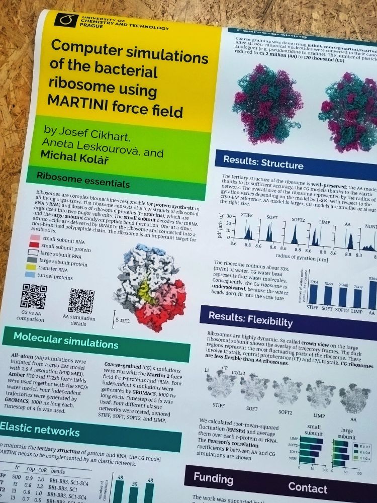 A scientific poster about ribosome simulations. In a viridis colors scale from yellow through green and blue to dark violet.