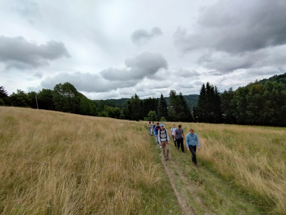 A group of people walking on a path through meadows, with forests in the background. Hilly environment, gray clouds. 