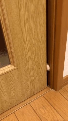 a cat 's paw is sticking its head out of a wooden door