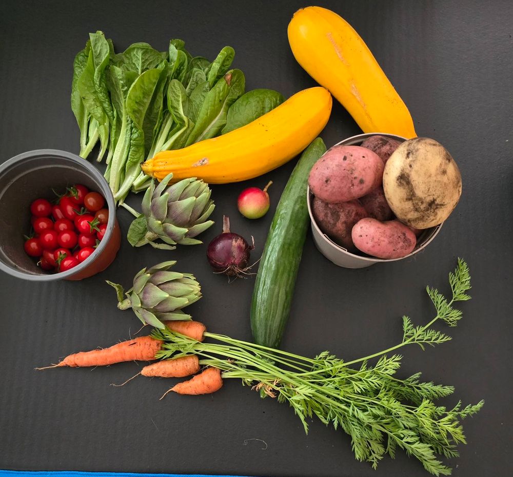 A black mat, on which are cherry tomatoes, artichokes, lettuce, cucumber, courgettes, carrots, potatoes, an onion, and a tiny apple - unwashed and freshly harvested 