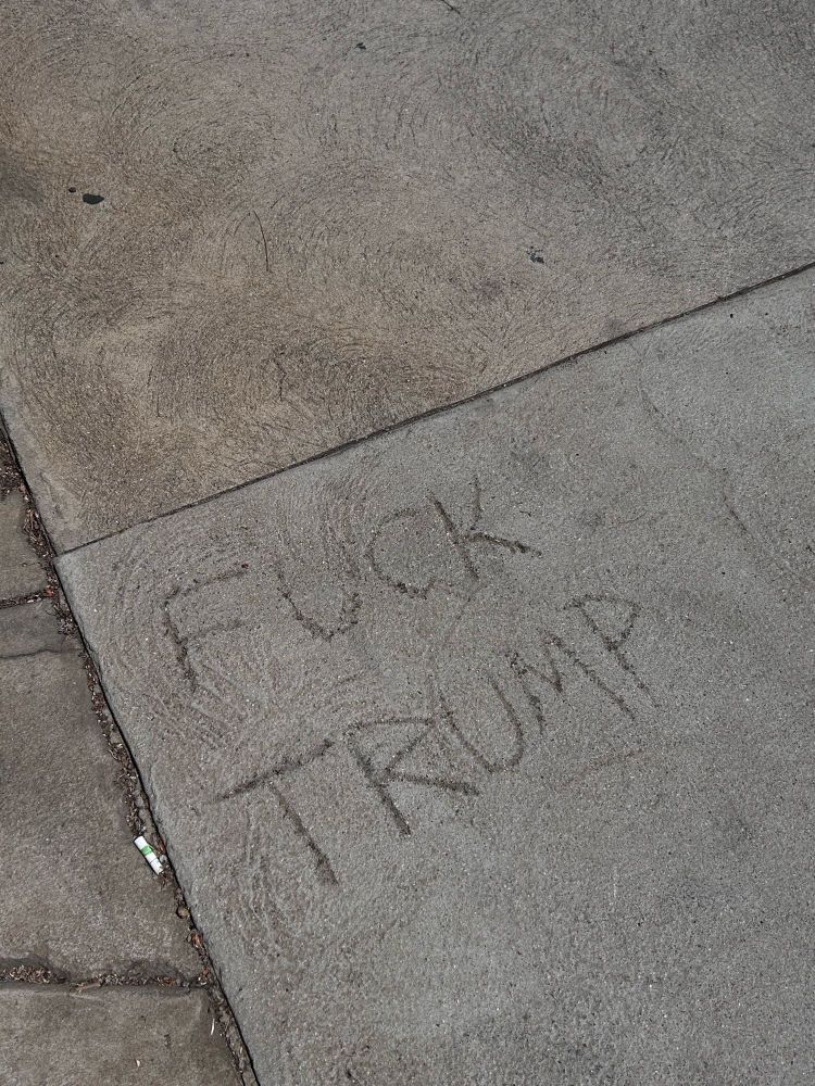 “Fuck Trump” carved into the cement