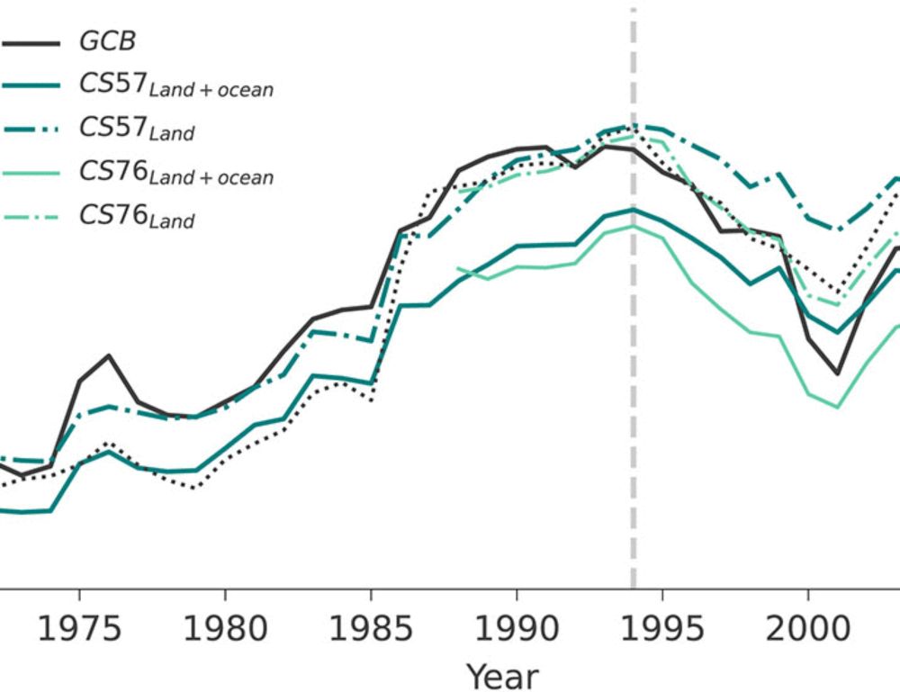 Enhanced global carbon cycle sensitivity to tropical temperature linked to internal climate variability