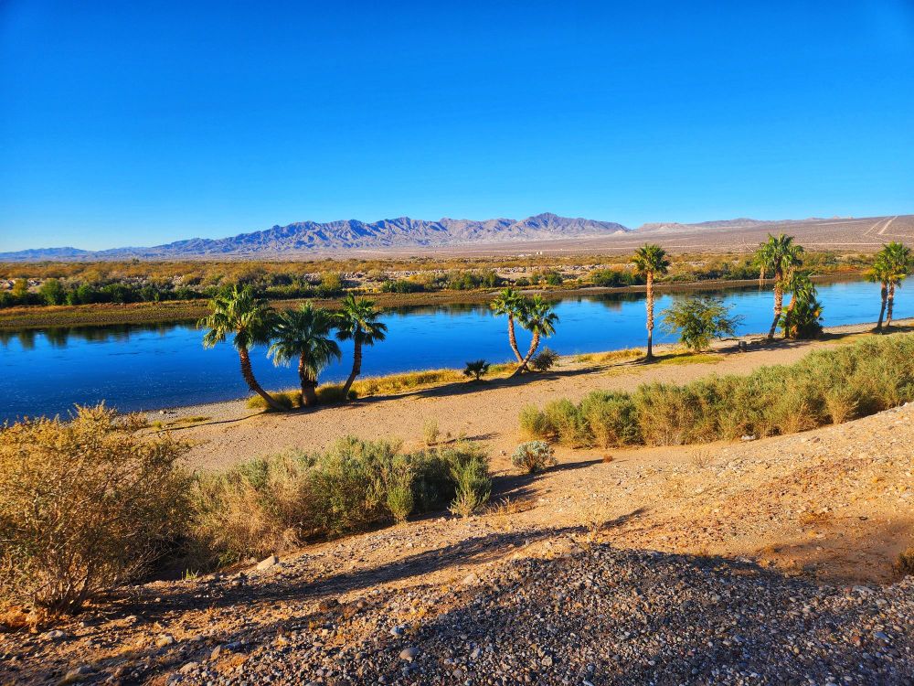 Colorado River at Rotary Park, Bullhead City, Az.