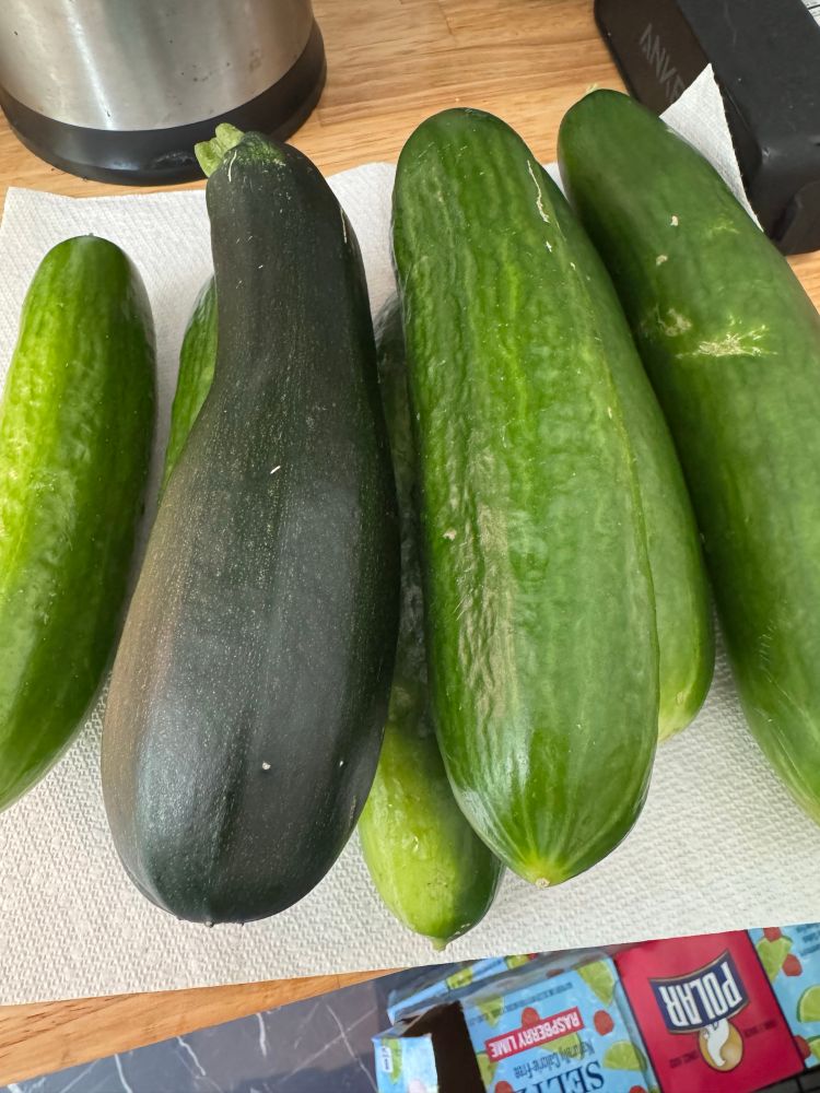 1 zucchini and 6 cucumbers