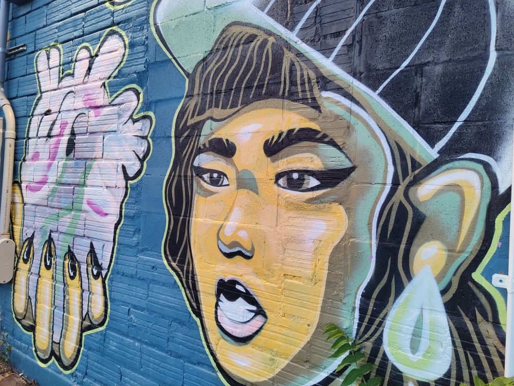 a woman in baseball cap and a pink heard next to her face as a mural