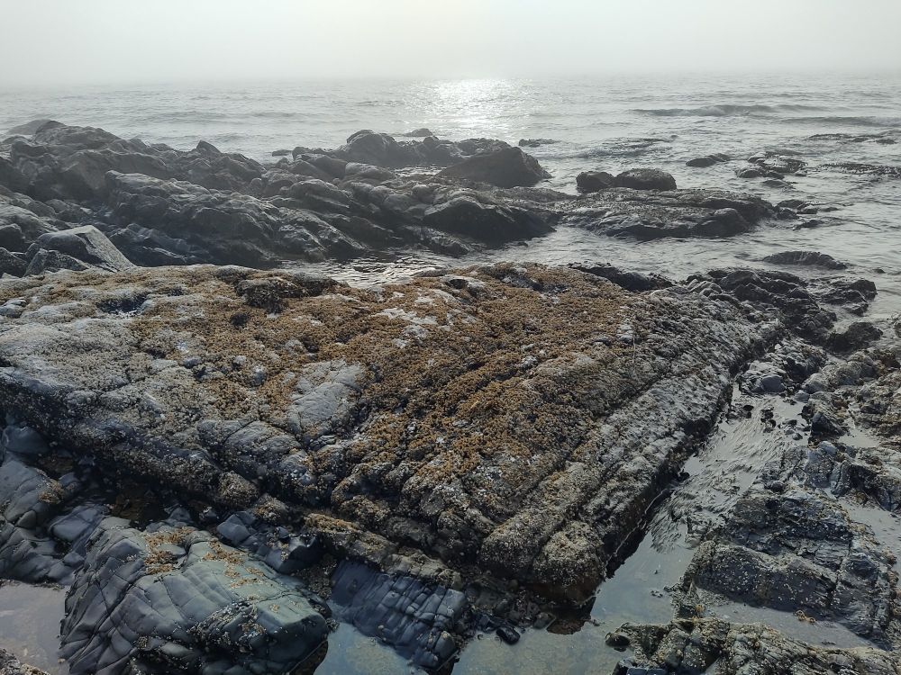 slatea of ridged black gray rock with tidal pools, the sun above