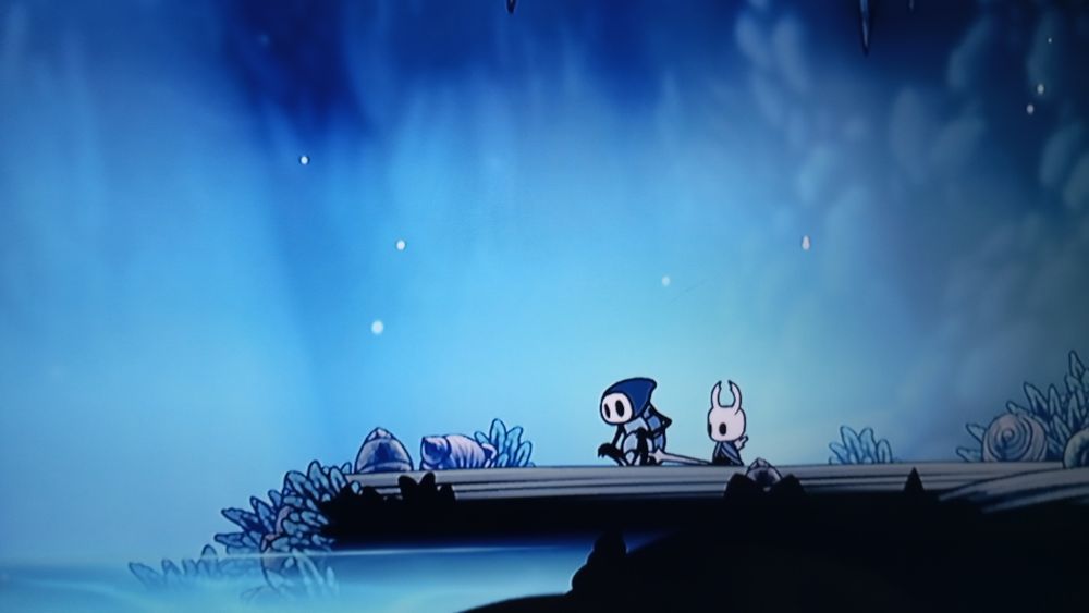 Quirrel e Knight sentados admirando a beleza lago. O cenário é uma caverna azulada, tem algumas poucas plantas em volta e a água do lago é bem azul