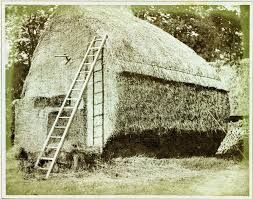 Black and white photo of a large hayrick (a thatched haystack) with a ladder leaning up against it