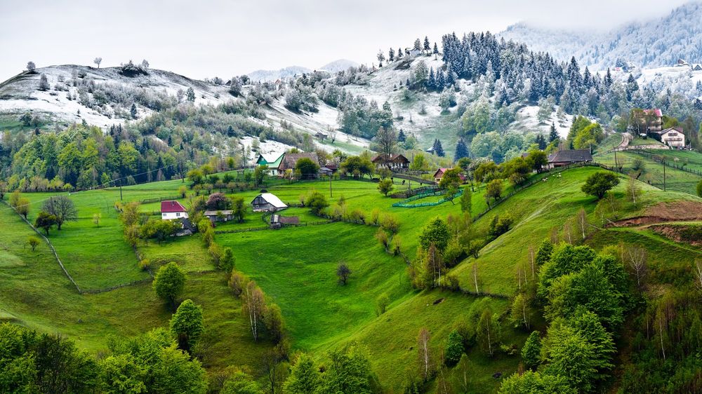 The Transyvanian countryside. In the foreground rolling bright green fields, with scattered wooden houses. A little further off some low hills rise up, covered with a light dusting of snow, and pine trees. From the Guardian