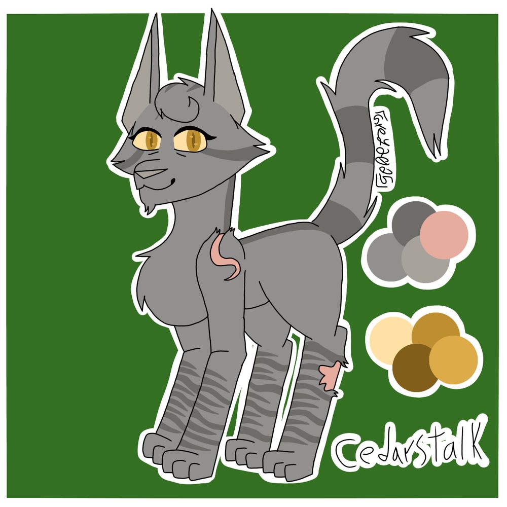 A digital drawing of a grey cat with amber eyes. She has ticked tabby markings and a scar on her shoulder and one on her back leg. Her name, Cedarstalk, is written beneath color swatches