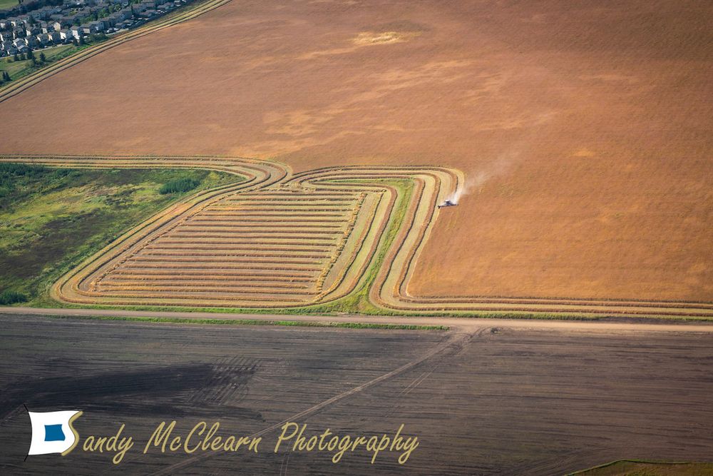 Aerial view of a combine harvester working in a field. 