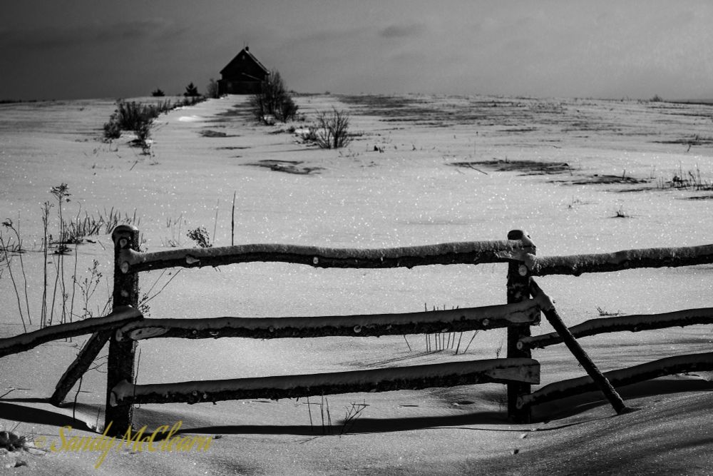 Old fence in front of a snowy field and driveway with an old house in the background. 