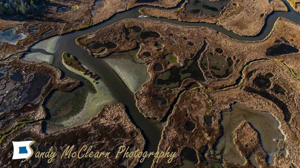 Aerial view of a wetland with a watercourse weaving its way through. 