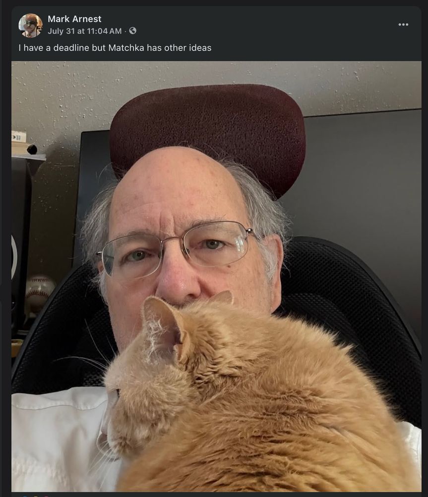 Matchka, an orange cat, sits on her person's chest, preventing him from doing work. In the background is a baseball autographed by Ernie Banks.