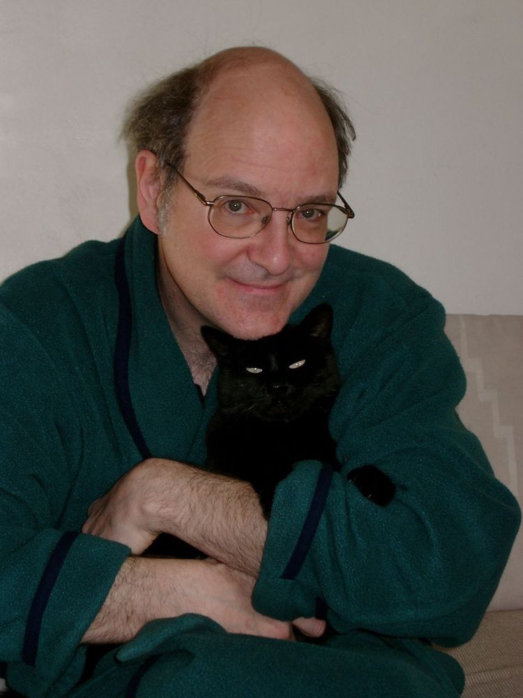 Lucy, a black cat, looks up from her person’s lap with an expression that says “I have won!”