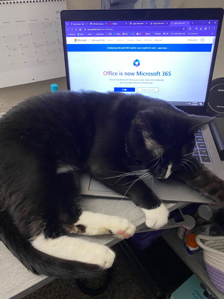 A male tuxedo cat lying on a laptop.