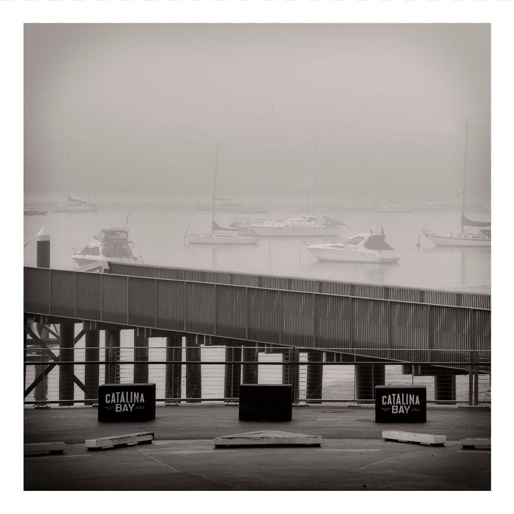 Looking out across the fog at Catalina Bay