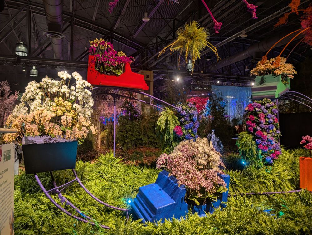 orchids arranged in a amusement park ride