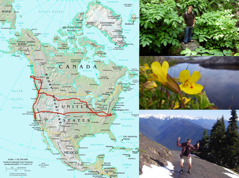 Composite image of map of North America, with route of travel. On the side are pictures of myself, Kevin, and a blooming monkeyflower.