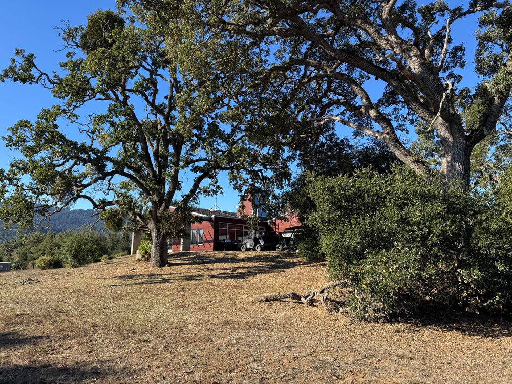 Jasper Ridge main building with oak trees flanking it. 