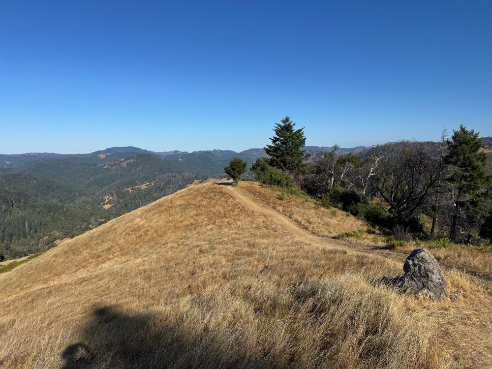 Trail leading to vista