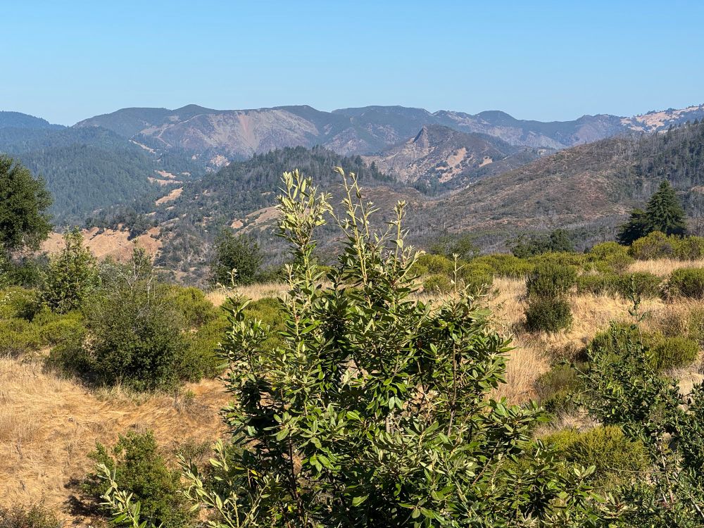 View of red slide and Rocky Mountain 
