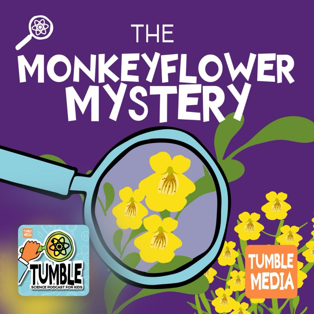 The Monkeyflower Mystery