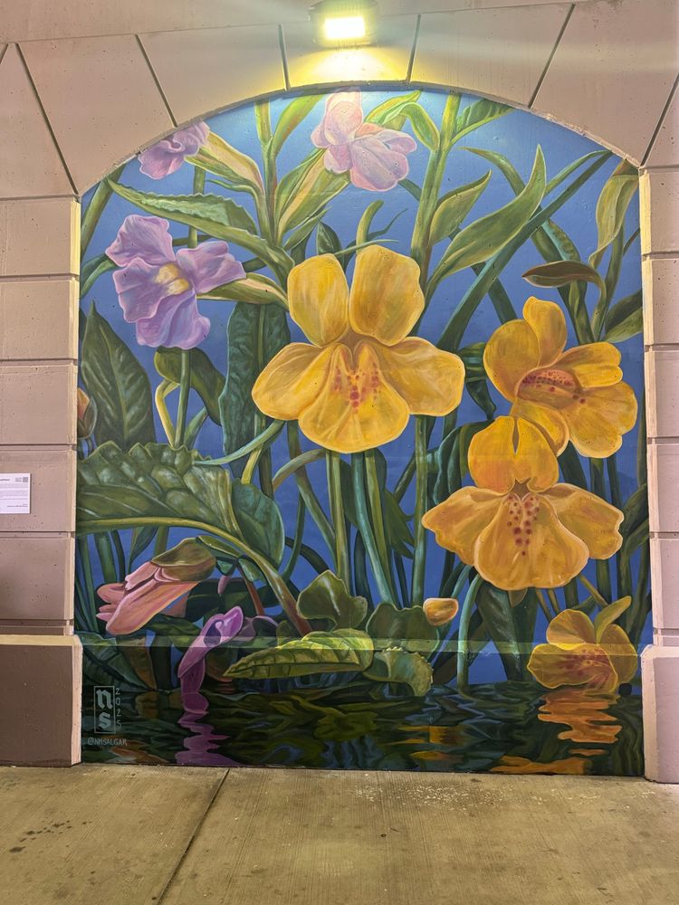 The monkeyflower mural 