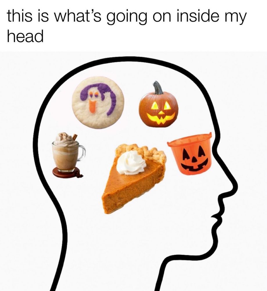 outline of a head with various fall themed items inside: a halloween cookie, a jack-o-lantern, a pumpkin spice latte, a slice of pumpkin pie and a pumpkin bucket. the text at the top of the image reads: “this is what's going on inside my head”