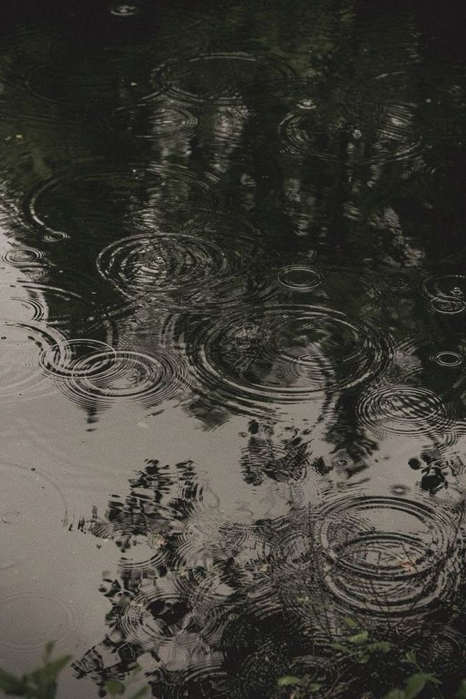 raindrops falling on water