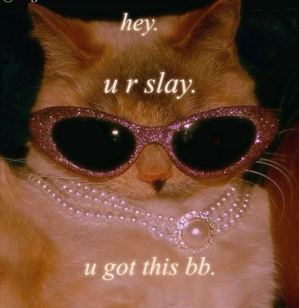 an orange cat wearing pink glittered cat eye sunglasses and a pearl necklace with text that reads: hey. u r slay. u got this bb.