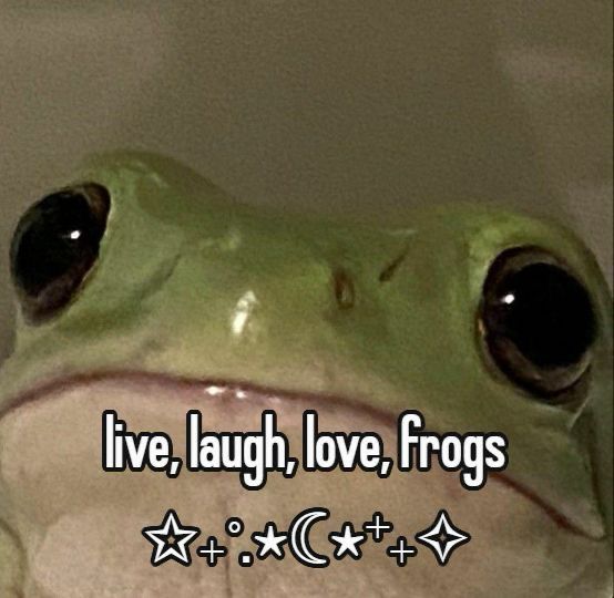 picture of a frog and text that reads “live, laugh, love, frogs”