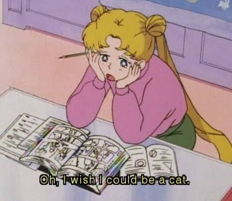 sailor moon saying “oh, i wish i could be a cat  “