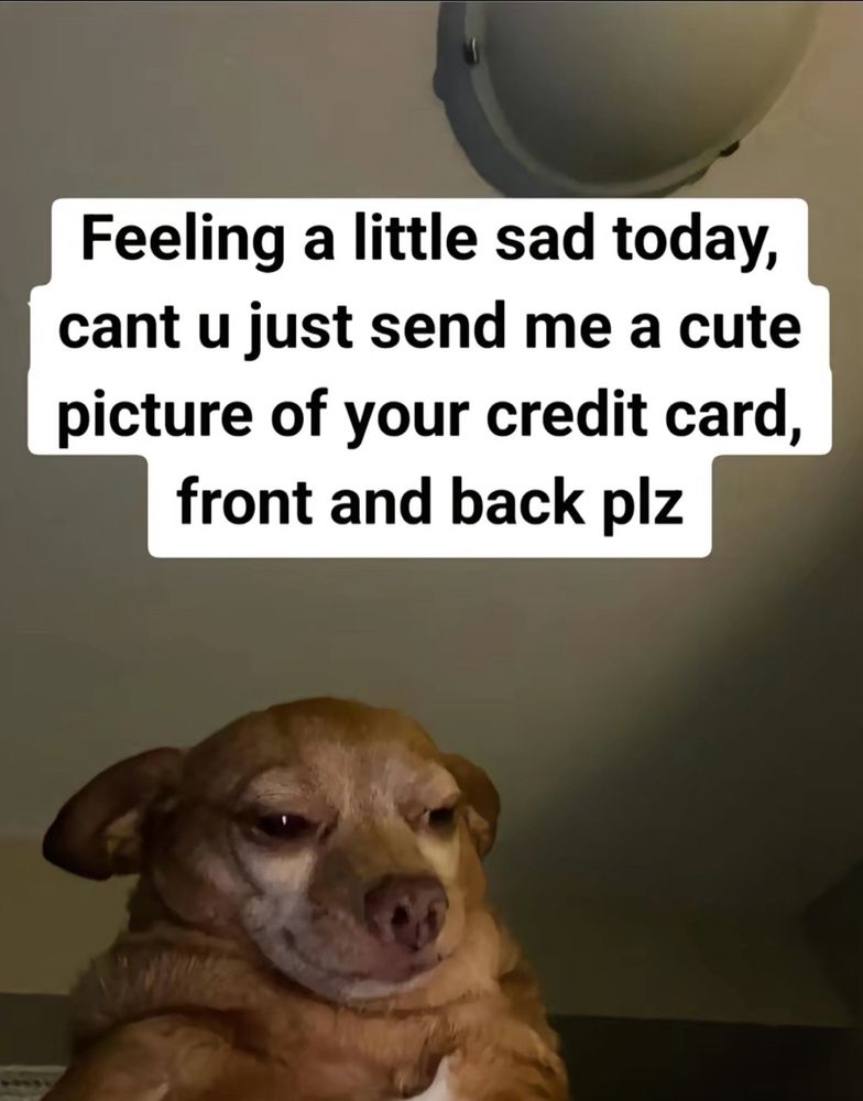 picture of a sad dog with the text: feeling a little sad today, can’t you just send me a cute picture of your credit card, front and back plz