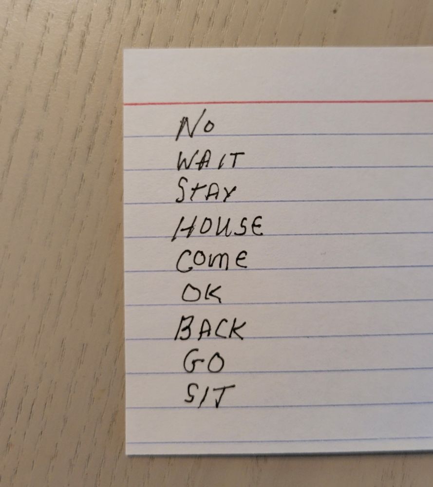 An index card with the following words written on it: no wait stay house come ok back go sit