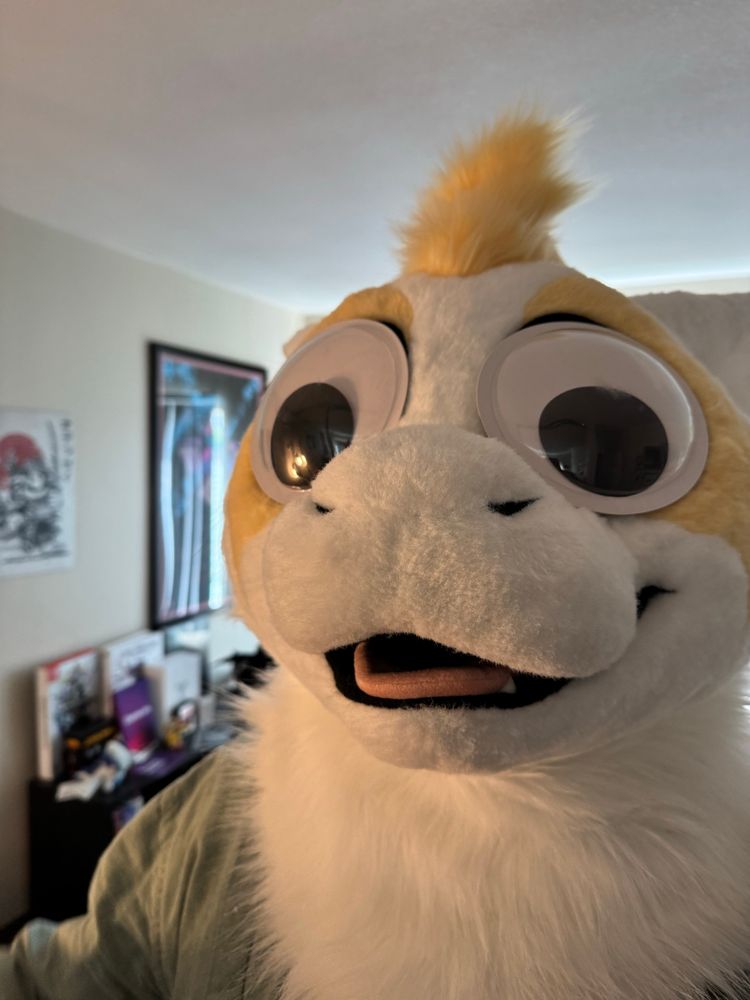 Fursuit of Rhogar, a white and gold furred dragon, stares at the camera with extra large googly eyes placed over his eyes.
