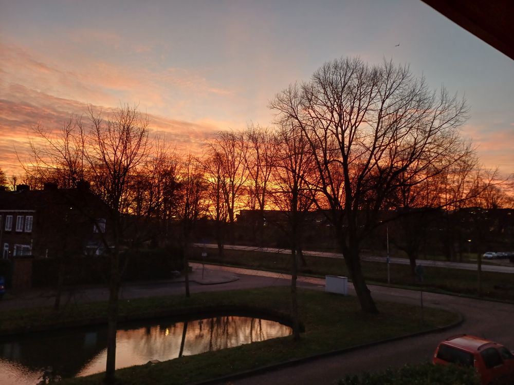 Zonsopkomst kleurt de hemel rood en blauw met kale bomen op de voorgrond.