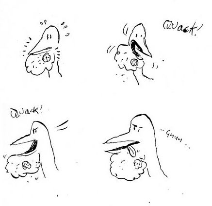 A piece of bread gets stuck in a duck’s beard. He can’t quite reach it.