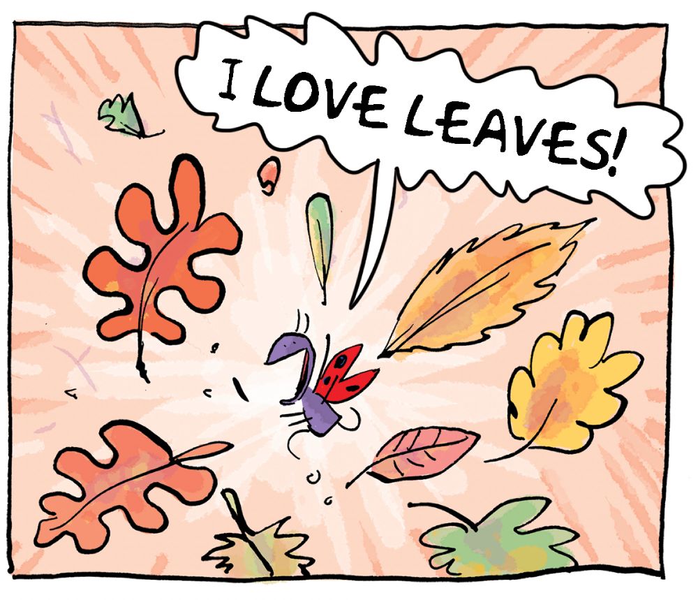 A happy ladybird throws a selection of differently shaped and coloured leaves into the air, shouting "I LOVE LEAVES!".