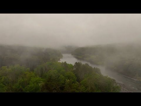 Ten Mile River. Ambient. 4K (No AI. Real Video)