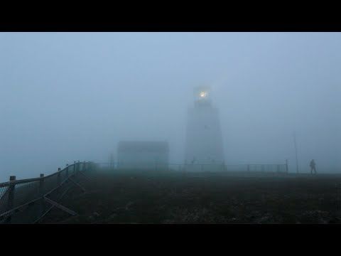 The Fog at Cape St. Mary's Ecological Reserve (2016)