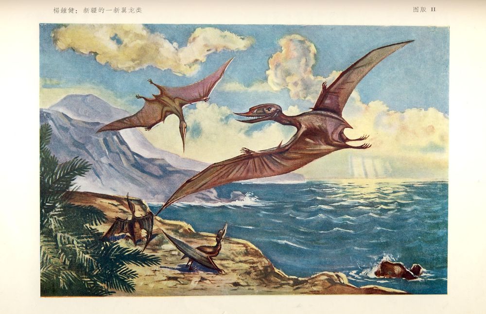 by W. L. Shen. A new pterosaur from Xinjiang.