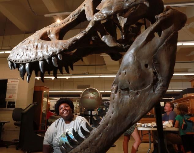 A woman looking at a T. rex skull in a museum 