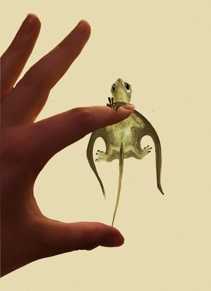 reconstruction hanging from a finger