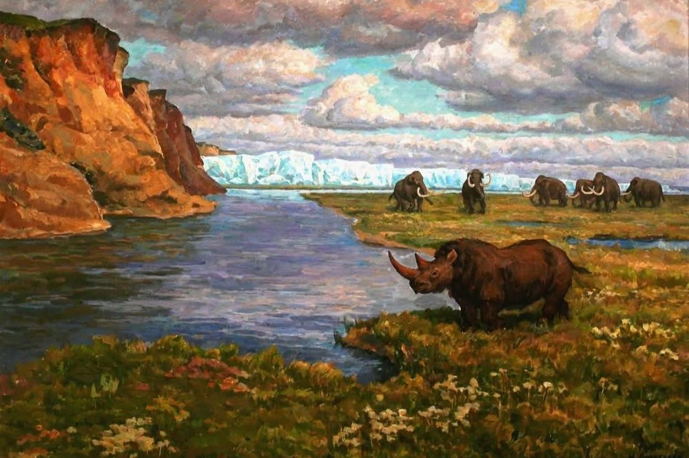 A landscape with woolly mammoths and rhino in the foreground 