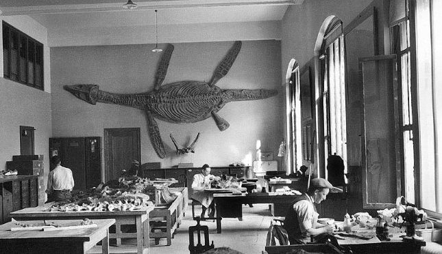 A lab with skeletal material 