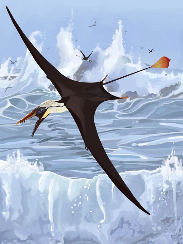 rhamphorhynchus  reconstruction with raging sea background